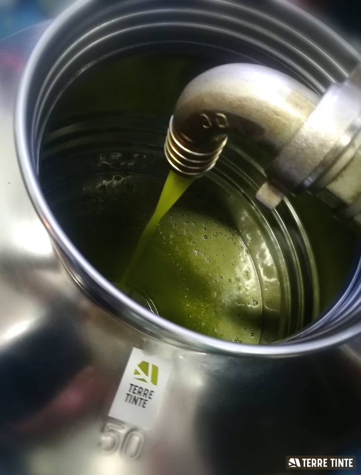6.%20Conservazione%20Ideale
